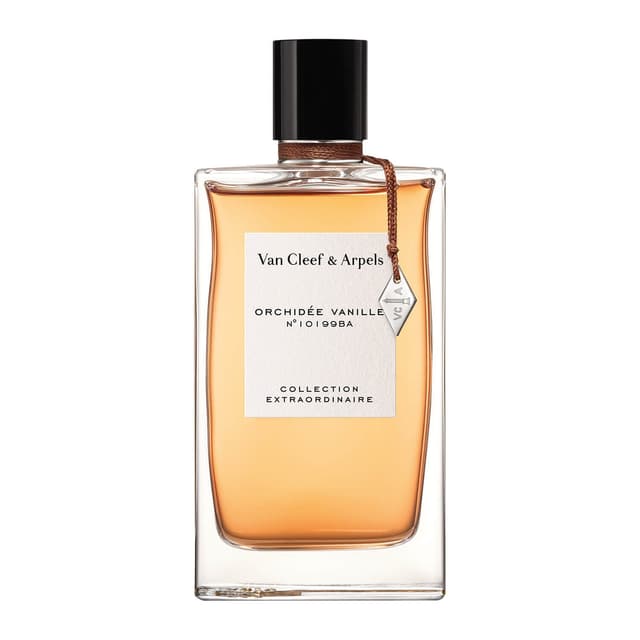 Orchidée Vanille